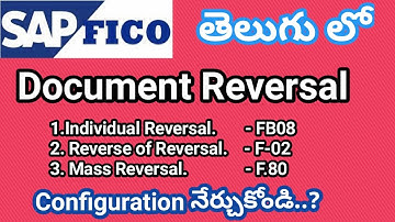 Document Reversal( Individual, Mass Reversal, Reversal of Reversal) - By Lokesh