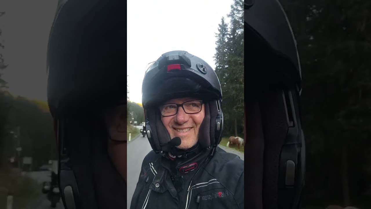 Vallée et chevaux en liberté