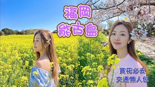 【福岡】博多美食🍢能古島海島公園🏞️ 打卡必去櫻花花海🌸交通懶人包🚌⛴️ #福岡 #博多 #日本 #九州 #能古島 #油菜花田 #櫻花