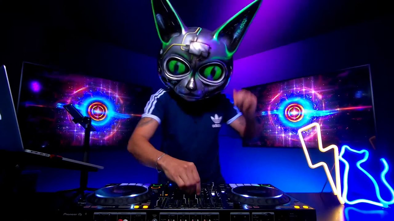 Кот диджей картинки