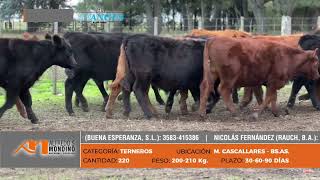 LOTE 124