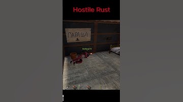 #shorts Hostile Rust | спит на полу #rust #мем #юмор #прикол #раст