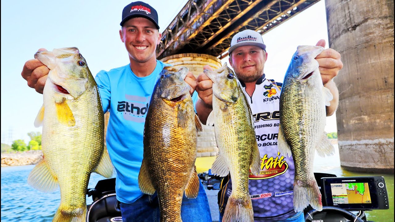 QUADFECTA BEATDOWN on Nickajack Lake! (INSANE FISHING) - YouTube