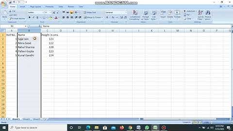 Class 6 Formatting data in excel