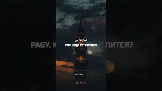 ﷽ : Чтец: «Ясир Ад-Даусари»• |  Сура: «Аль- Аляк»• | Аяты: «1-16»