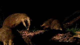 DSCF1763.AVI