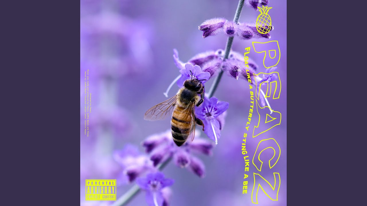 Float Like a Butterfly YouTube