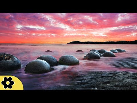 8 Hour Sleeping Music, Calming Music, Music For Stress Relief, Relaxation Music, Sleep Music, ✿2433C