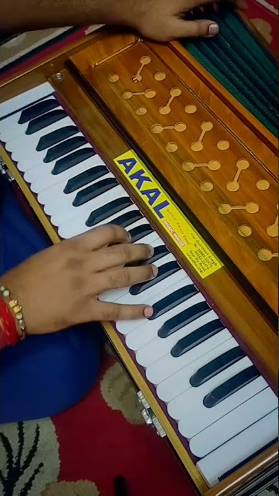 Tumse Milke Dil ka | Main Hoon Na | Harmonium | Piece 🔥🔥🔥 #mainhoonna #shahrukhkhan #sonunigam