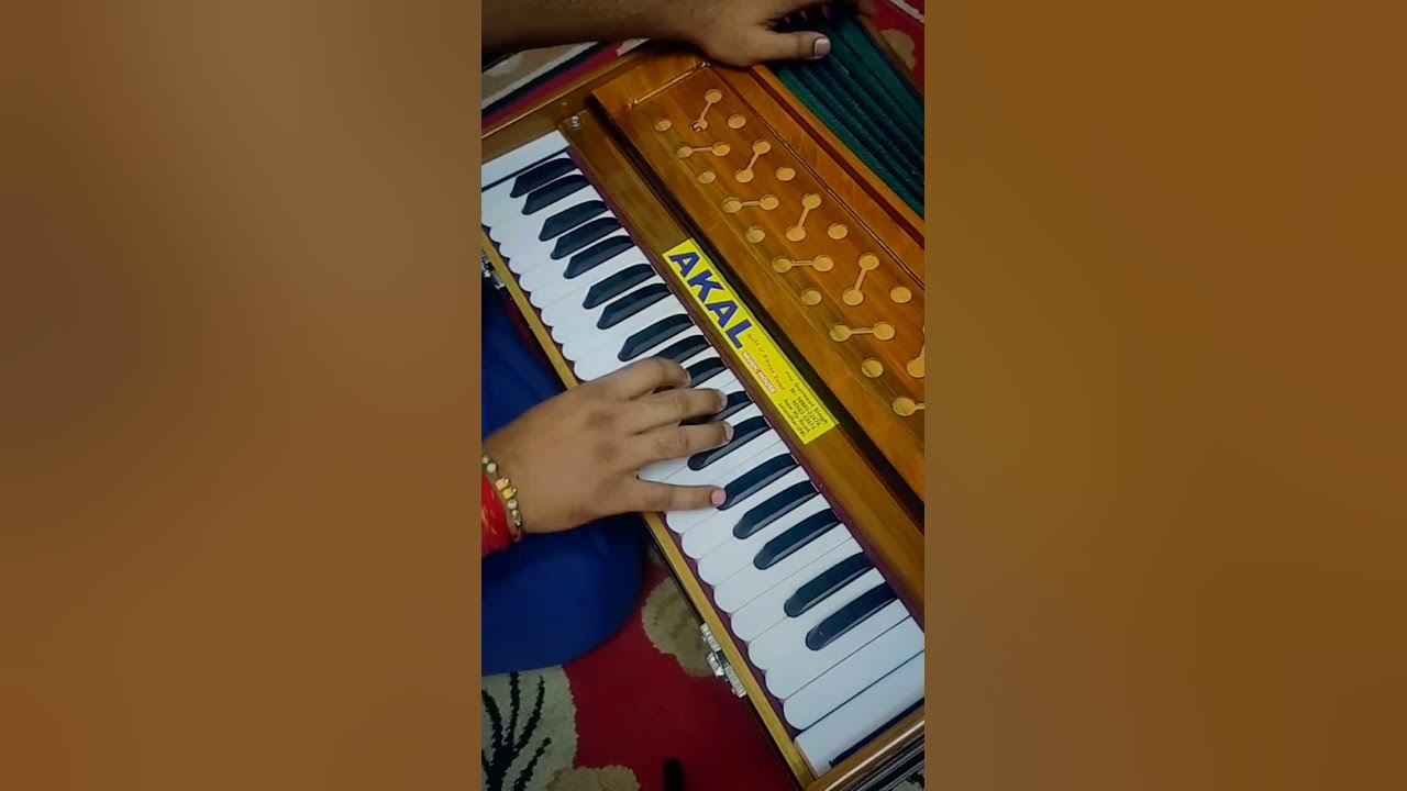 Tumse Milke Dil ka | Main Hoon Na | Harmonium | Piece 🔥🔥🔥 #mainhoonna #shahrukhkhan #sonunigam