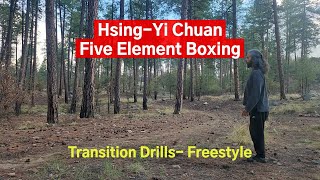 Hsing-Yi Chuan. Five Element Transition Drills- Freestyle