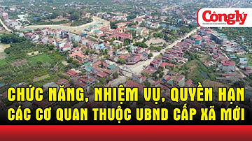 Định hướng chức năng, nhiệm vụ, quyền hạn các cơ quan chuyên môn thuộc UBND cấp xã mới | Báo Công Lý