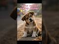 🔥So cute,அம்மா அடிச்சுட்டாங்க! 🥺😭 (Mom hit me!)#Shorts #trending #viral