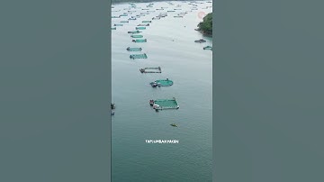 KJA - Kramba Jaring Apung Tantangan lau Indonesia #shortvideo #laut #indonesia