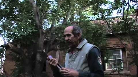 Dendrochronology Tour with Tom Windes part 7