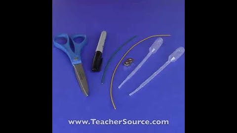 Catch and Release Cartesian Divers