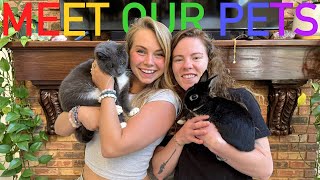 Meet Our Pets! - Hailee And Kendra
