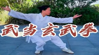 武当玄武拳（道家太极门必练长拳）