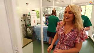 Tourism Australia 'Live from Aus' - 15 minute snippet featuring Currumbin Wildlife Hospital. by Currumbin Wildlife Hospital 245 views 4 years ago 14 minutes, 44 seconds