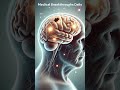 The Hidden Clock in Your DNA – How Telomeres Affect Brain Aging! #usahealth #trending #usa #science