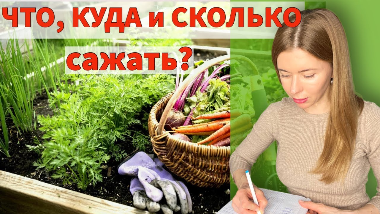 Смотреть видео