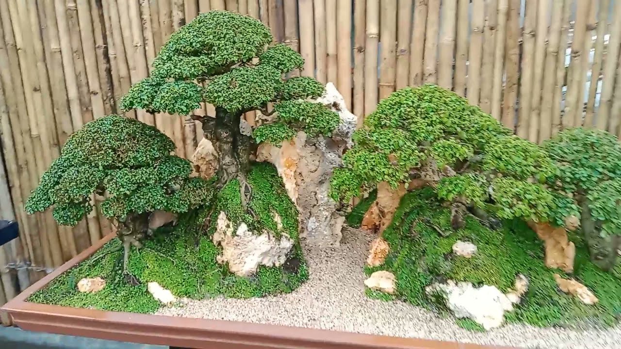 Making Penjing Bonsai landscape YouTube