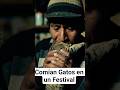 100 gatos en un festival prohibido en Perú 🇵🇪 #peru #gatos#tradicion