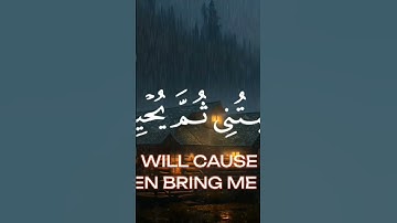 #القرآن_الكريم #تلاوات #استغفر_الله #صلوا_على_النبي #راحة_نفسية #سبحان_الله #الحمدلله #سورة