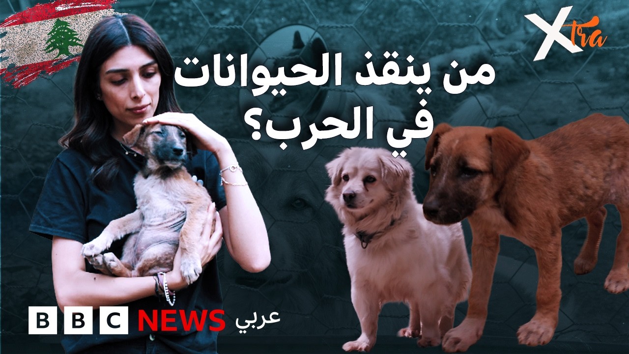 ��� ���� ������ ����� ��������� ���� ����� �� ���� �����
 - نشر قبل 7 دقيقة