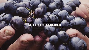 Elegant Slideshow. After Effects Project on Videohive.net