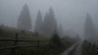 sometimes, you need to be alone.