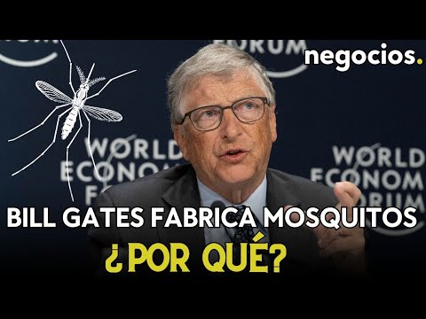 30 millones de mosquitos &lsquo;fabricados&rsquo; por Bill Gates en Colombia. &iquest;Objetivo?