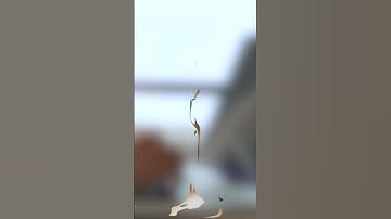 Breaking Down SQL and NoSQL: Which Database Reigns Supreme?