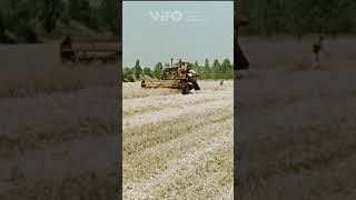 "Krajobraz Niziny Mazowieckiej" (1971) cały film obejrzycie: https://youtu.be/LqVq8JbL34Q