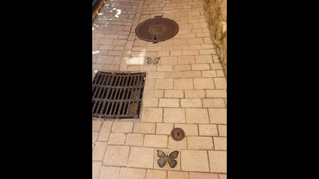 НАДЫШАТЬСЯ! Э.Вид&А.Хорьков 