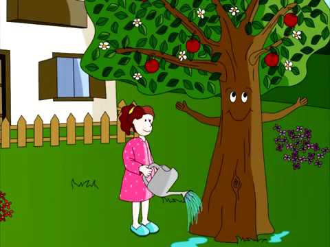 Lingua cuentos El viejo árbol