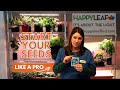 How to start seeds indoors with grow lights grow beautiful plants from scratch