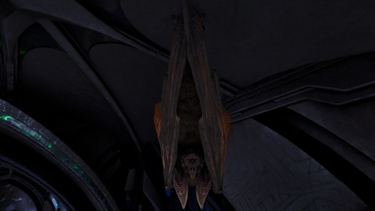 Приручение Десмодуса... Неправильным путем | ARK: Survival Ascended [EP256]