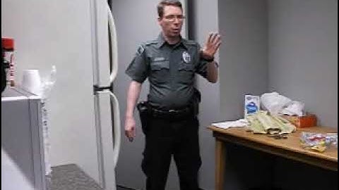 Armed Security is better than Unarmed