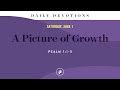A picture of growth  daily devotional