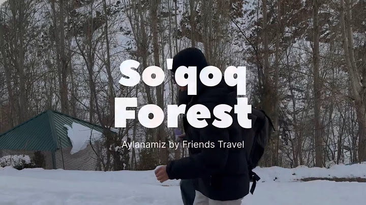 SO'QOQ O'RMONI VA SHOXQO'RG'ON CHO'QQISI I SO'QOQ FOREST AND SHAKHKURGAN PEAK