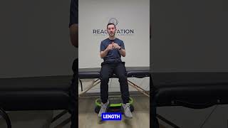 Sciatic Nerve Glides w/ Seated Ankle Pumps