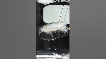 Waarom deze ijsblokje zinkt in water (zwaar water uitgelegd) #scienceexperiment #chemistryshorts