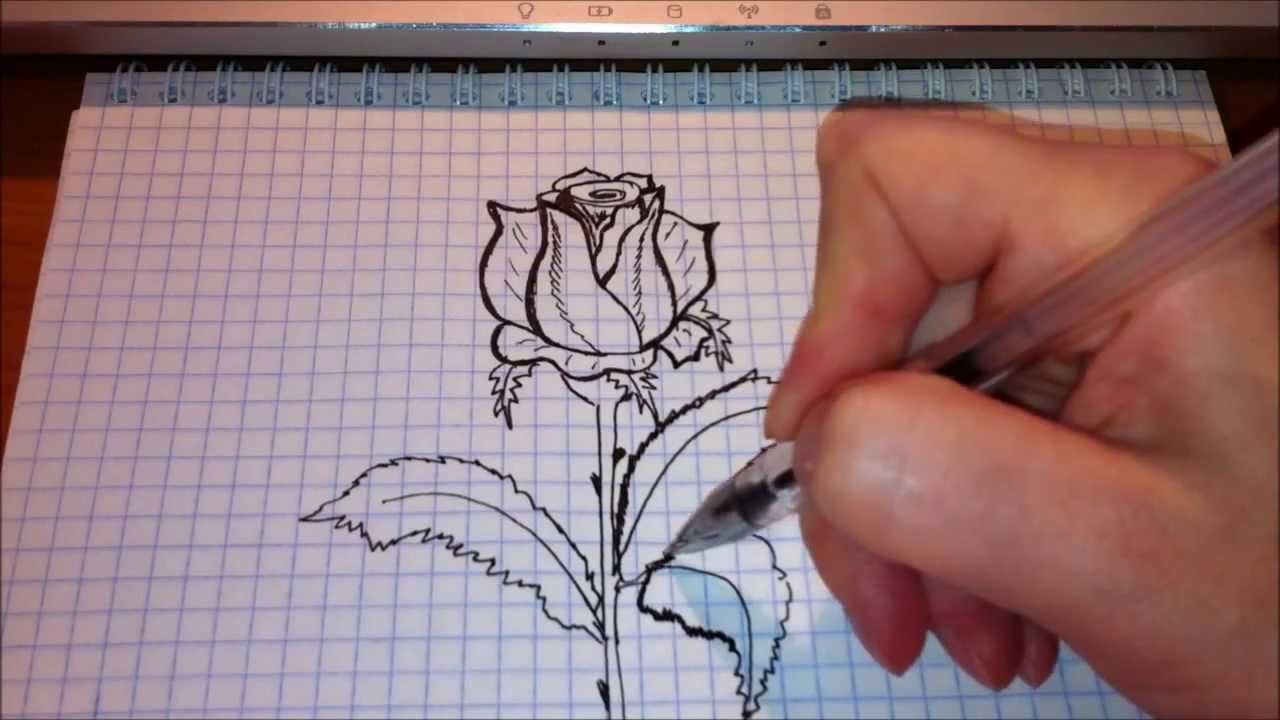 Просто картинку обычную. Несложные рисунки. Рисунки ручкой. Рисование ручкой для начинающих. Красивые рисунки несложные.