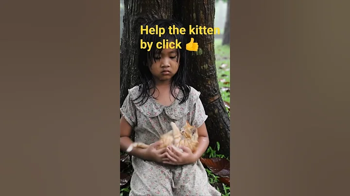 Rainy Day Comfort: A Village Girl and Her Kitten