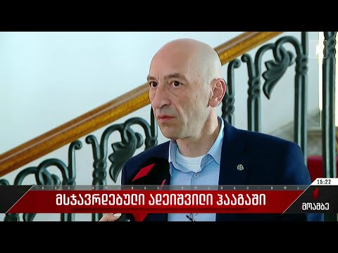 მსჯავრდებული ადეიშვილი ჰააგაში - შეფასებები პოლიტიკურ სპექტრში