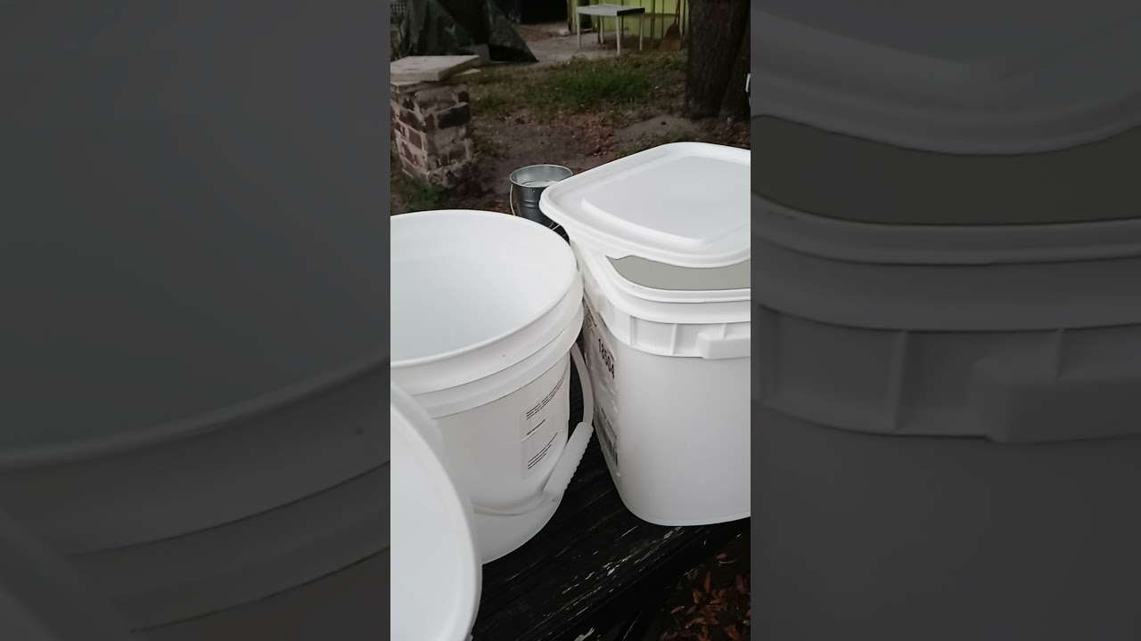 Update Chat and Ska Punk Oi - Alternative Living: Check him out! 🚍