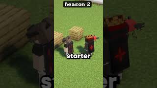 3 reasons why you should join the BEST Minecraft server. 💫