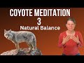 Coyote Meditation 3 - Natural Balance