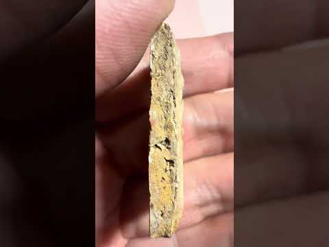 วิธีเช็กบริษัทใน 1 นาที! ใช้เว็บ DBD กระชากหน้ากาก "บริษัททิพย์" ก่อนโดนหลอกสมัครงาน